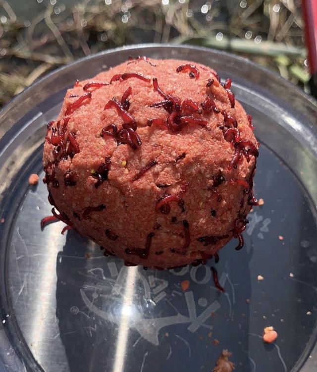 快乐|未雨绸缪做好预判，渔获如期而至