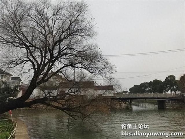 地狱猫搭档不一样，鱼获却极其相似