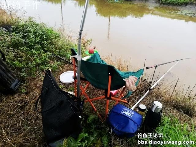 效果给力,今晚吃鱼