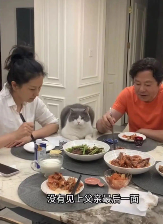 老戏骨炫耀在美奢侈生活,美食美景应有尽有,网友指责:忘恩负义