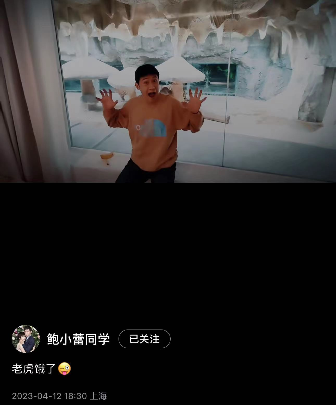 陆毅|陆毅一家游动物园,住3000一晚虎景酒店,贝儿近一米八颜值惊艳