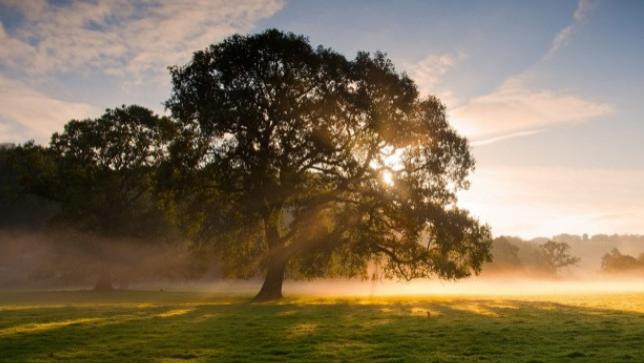 导游|近期职场的一些思考，或许对你有帮助