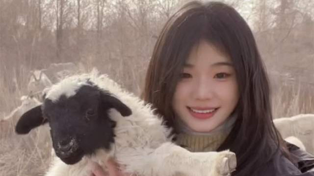 惠然|“灰太狼的羊”凌晨发红头文件回应！否认出轨，却因权威性遭质疑