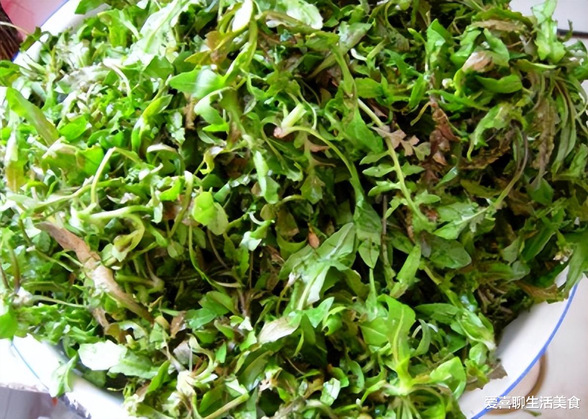 大葱|秋季包饺子,这5种馅料一定要尝尝,鲜美好吃营养高,不能亏了嘴