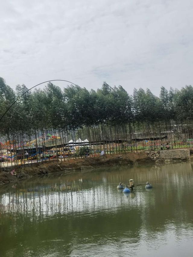 |钓虾农场作钓，酣畅淋漓擒巨物！