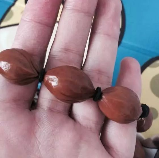 文玩|穷玩,也可以很精彩!