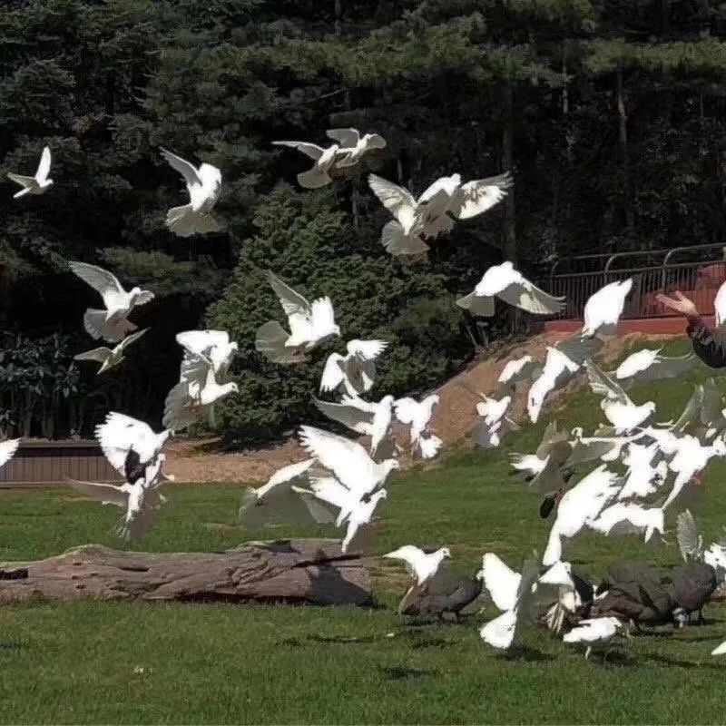 银行|大学毕业以后,我只能去当服务员