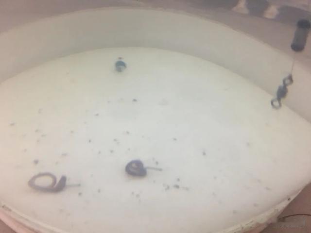 |还不知道调几钓几，就看这篇文章！别被“大师们”忽悠瘸了