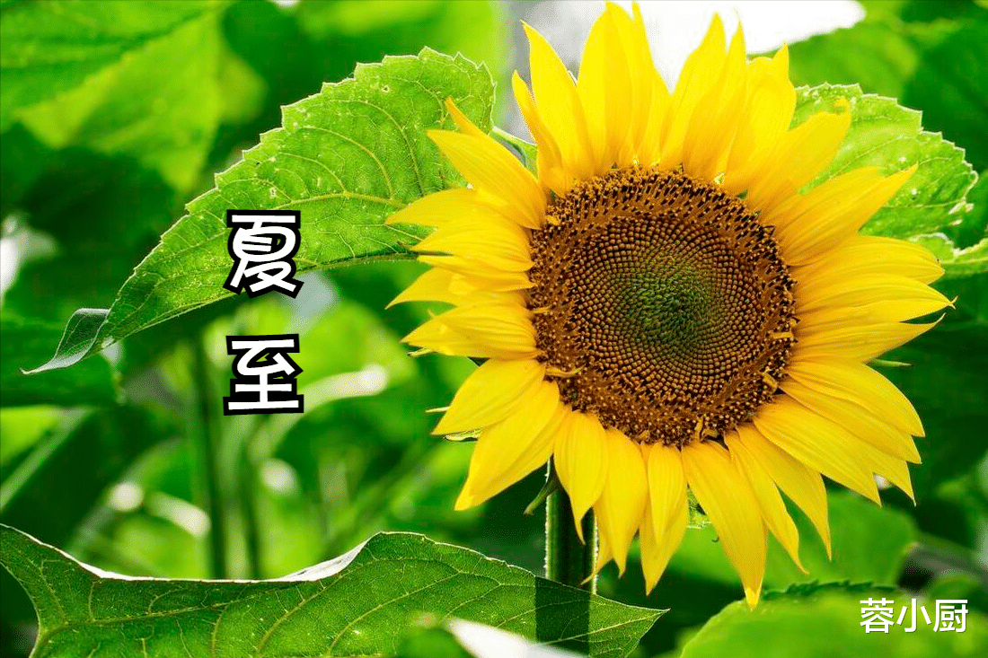 鹌鹑蛋|6.21夏至,无论有钱没钱,“夏至六宝”都要吃,应季而食,平安入伏