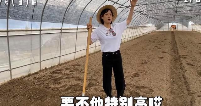 孙俪|孙俪承包大棚种菜，从明星变身农民，狠干苦力活卖力种菜
