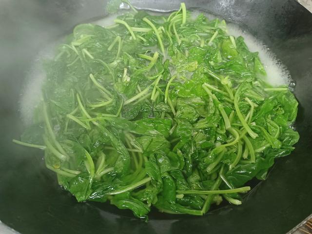 萝卜|秋冬季“钙王”,含钙量是牛奶的3倍,遇见多囤些能吃到明年开春