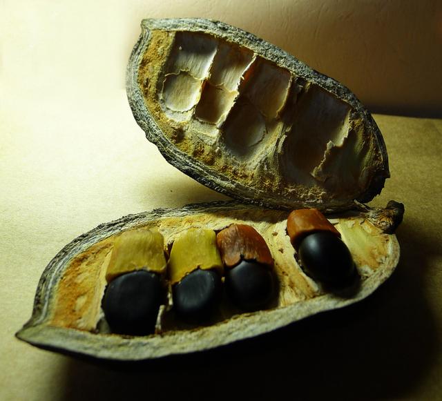 雕刻|曾经被誉为“国礼”的文玩，如今却鲜为人知，你知道是什么吗？