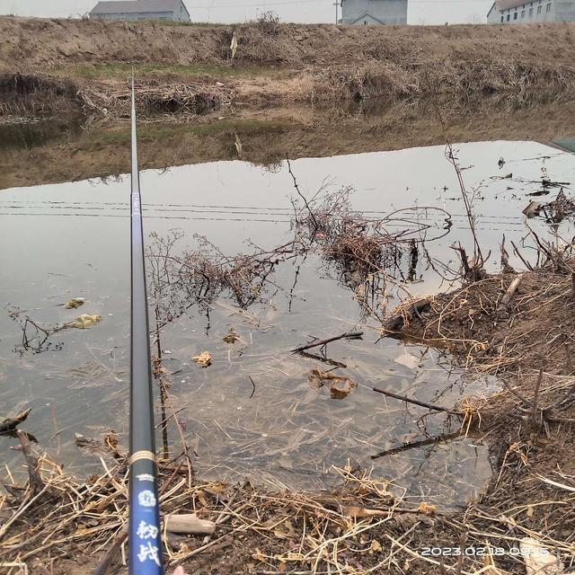 |鱼儿正在向我们招手,你做好准备了吗?