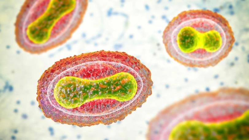 技术的进步让科学家可以从零开始制造DNA，制造危险的生物材料变得更加容易
