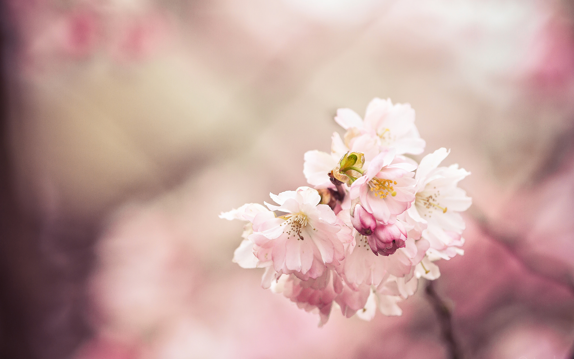 运势|5月以来好运傍身,效率翻倍,职场收成更好,春风得意的3大生肖
