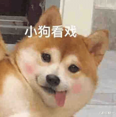 智性综艺爱好者狂喜，这节目人均至少八百个心眼子！