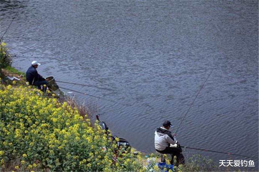 黑鱼|春季野钓,大鲤鱼喜欢的3种地形,随便钓也能连竿