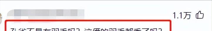 |杨丽萍新孔雀舞被吐槽:没有毛的孔雀连鸡都不如,简直辣眼睛!