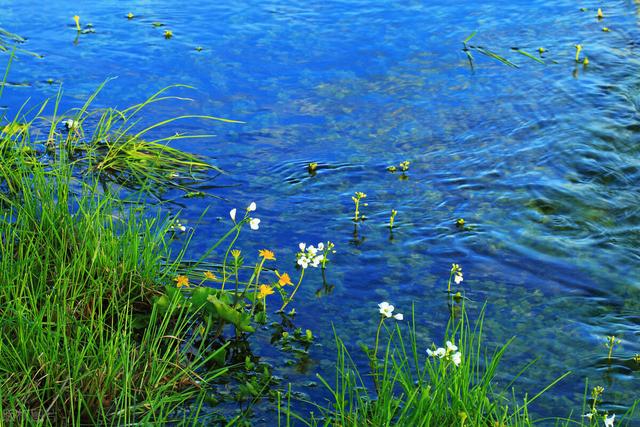 |钓草洞打窝很关键,搭配七星漂线组事半功倍!