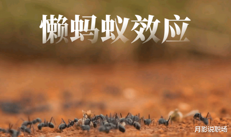 |人走茶凉的现状,只论利益,人是在工作中,很难交到朋友吗