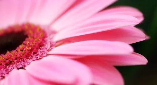 |伤官佩印,幸运不断,成人生赢家的生肖