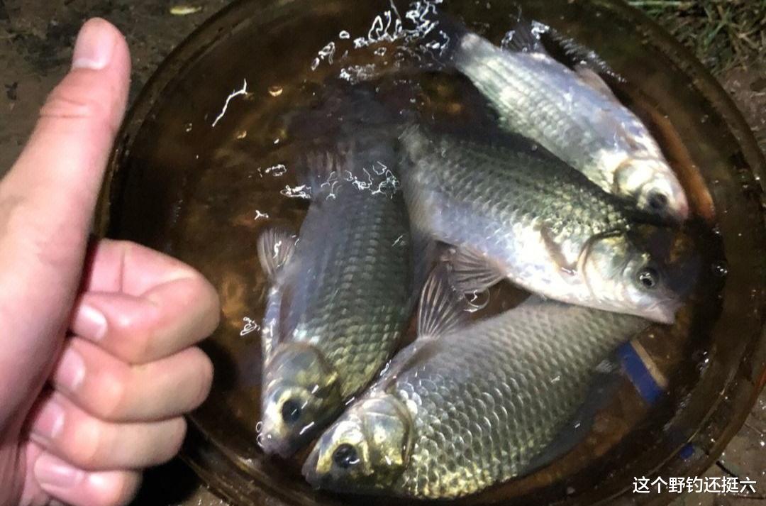 你会经常抱怨资源差吗？钓点有鱼就是好资源，找鱼方面你尽力了吗