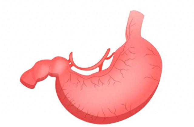 食物中的“奥美拉唑”,医生:每天坚持吃,或帮你养出“健康胃”