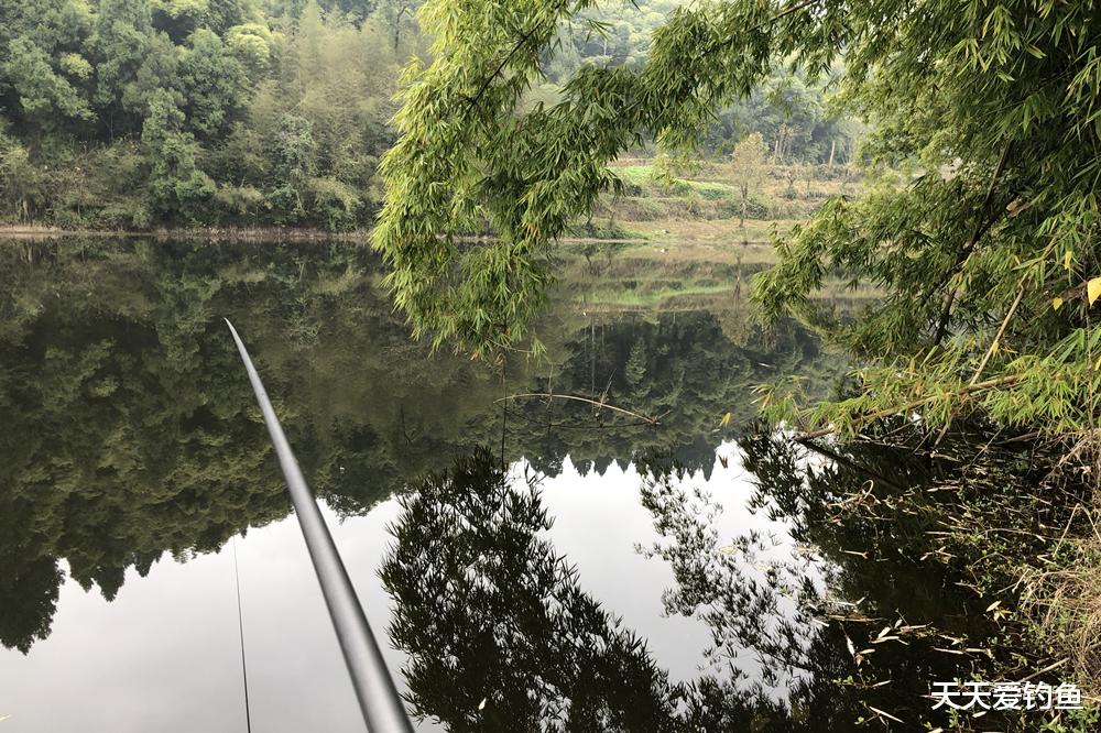 |夏钓夏钓有这7钓，钓法使用得当，大鱼一钓一个准