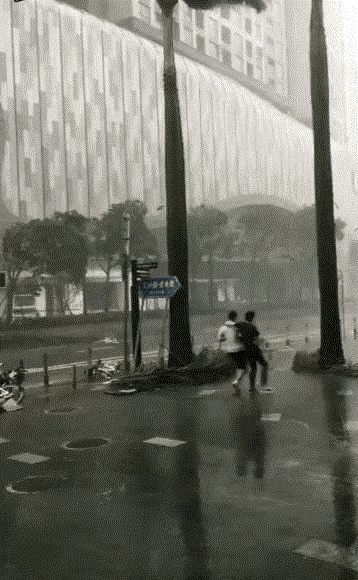 搞笑gif：这哥们胆子真大，差点挨打\uD83D\uDE02\uD83D\uDE02\uD83D\uDE02\uD83D\uDE02