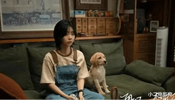 谭松韵圆了吴京女儿梦，泪目新作，展现父女之间的“爱与成长”