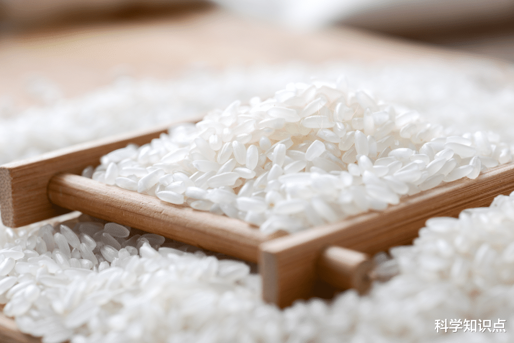 美食探店|中国哪里大米最好吃？这5种大米最为有名，其中有你家乡吗？