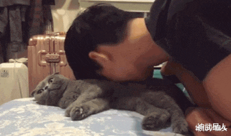 大门|“总经理办公室这样设计，要不要加厚隔音墙呢？”哈哈哈哈哈太有才了