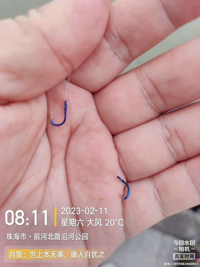 |浪急风高，大鱼偶得，罗非应接不暇