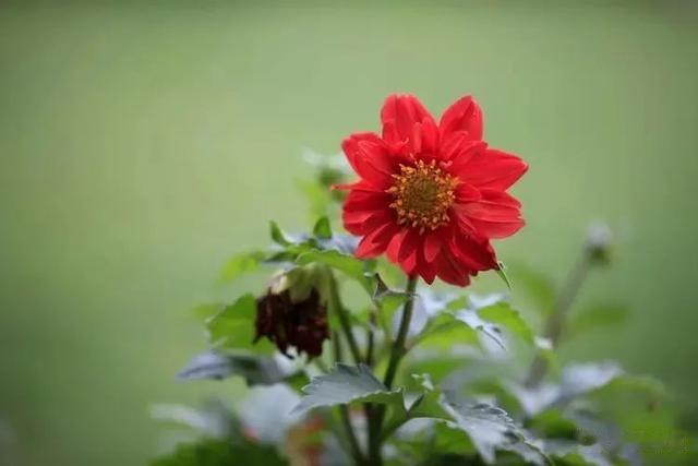 一个人有没有赚钱的能力,从说话的语气中就能听出来