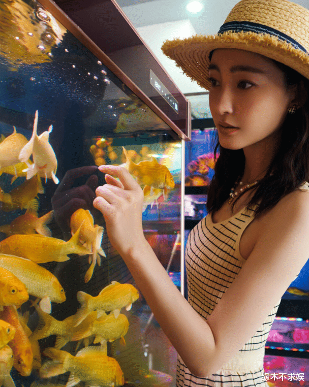 王丽坤|王丽坤事件后续:工作已暂停,过往被扒遭吐槽:心机装佛系!