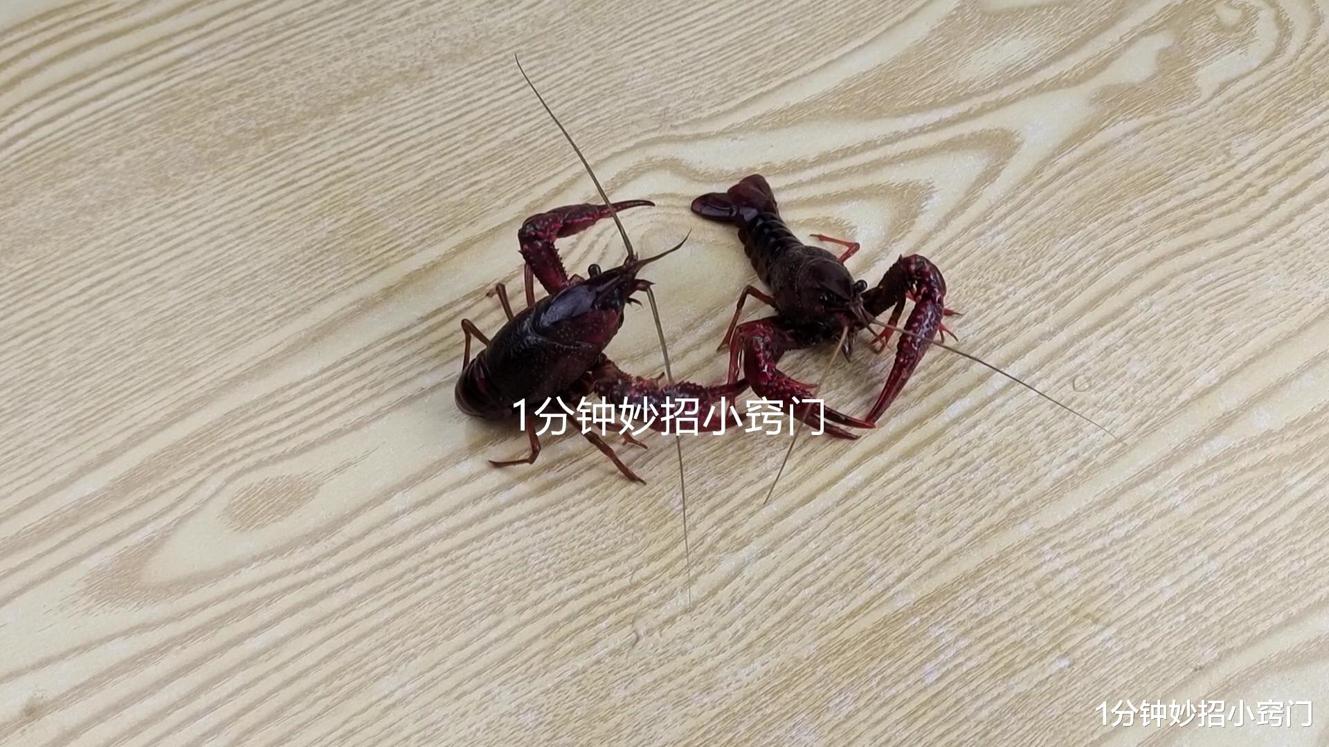 海鲜|小龙虾头部到底是虾黄还是虾屎，大多数人分不清，看完别再乱吃！