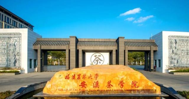 |四年学习一着就业KTV?高校春招现“KTV公主”一职,校方有回应