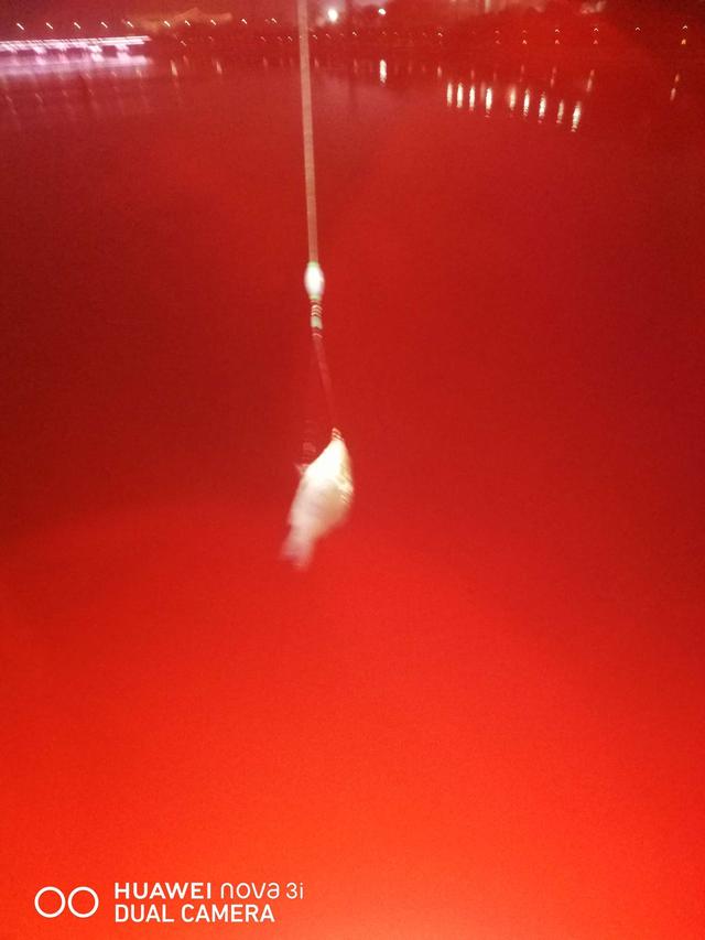 |夜战桥头，筏竿战板鲫。