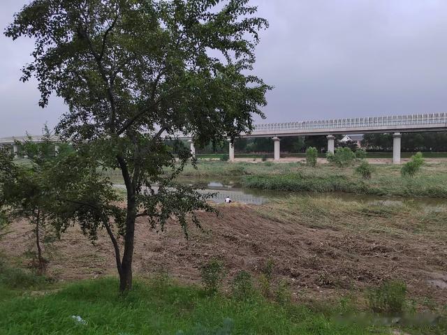 钓鱼日记——2023年8月6日(巩华城夜钓)