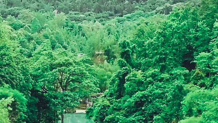 荔波|荔波小七孔风景区：大自然的鬼斧神工与美丽传说