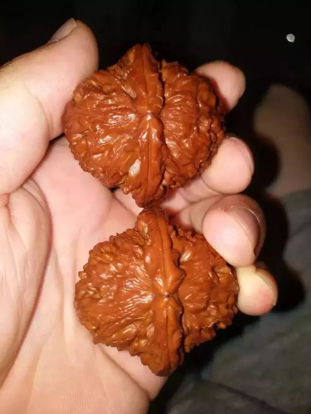 聊聊文玩核桃的黑幕