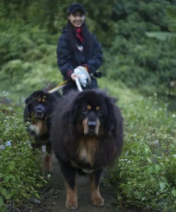 52岁朱茵现状曝光：住深山残屋，开97年的破车，活成了娱乐圈的大笑话