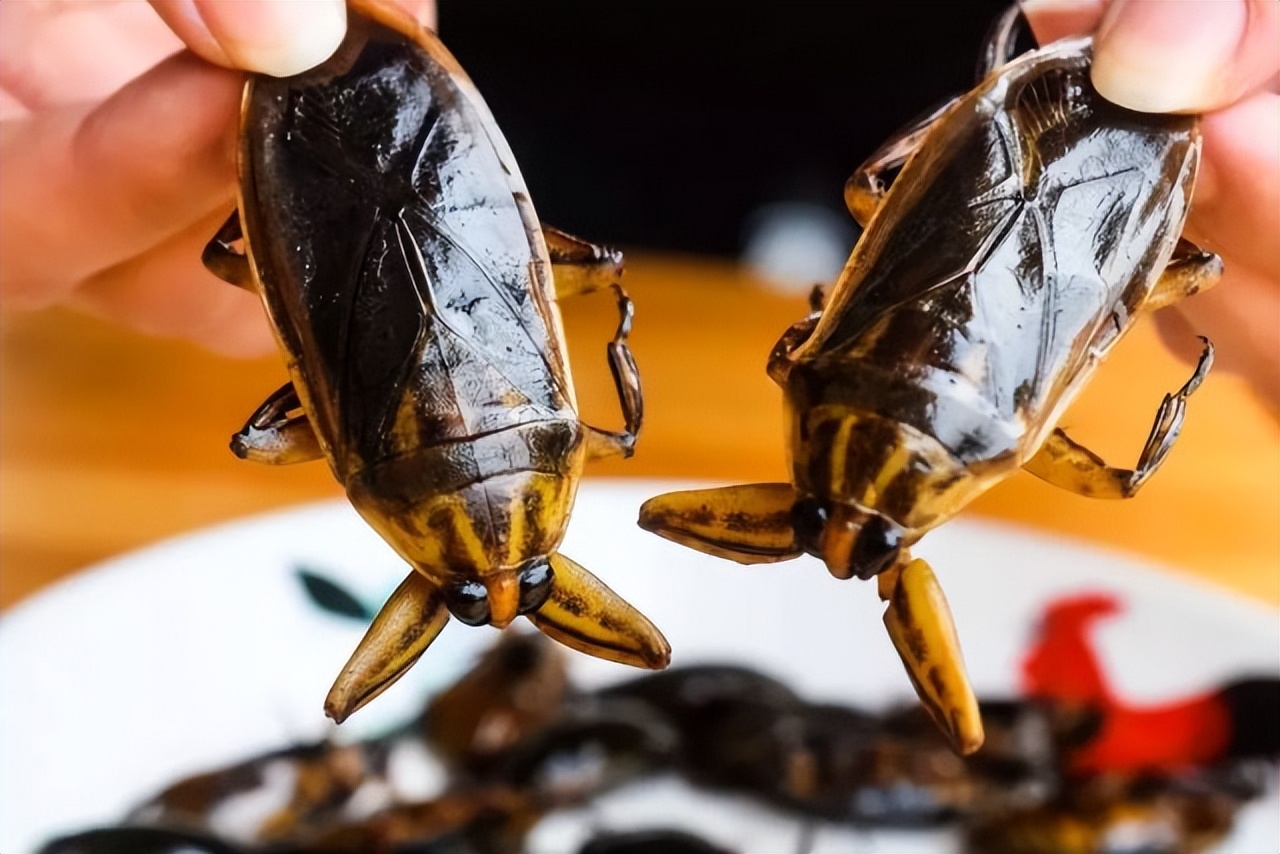 钱币|为什么古人会把青蚨,比作为钱币?