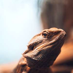 琴谈美食