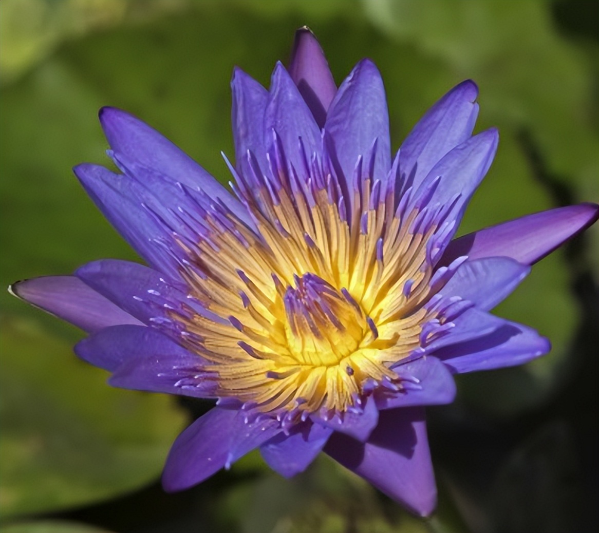 求职|我后知后觉才明白的6件事