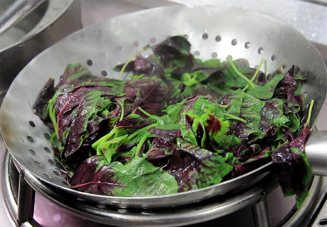 红枣|藏在身边的“叶酸冠军”