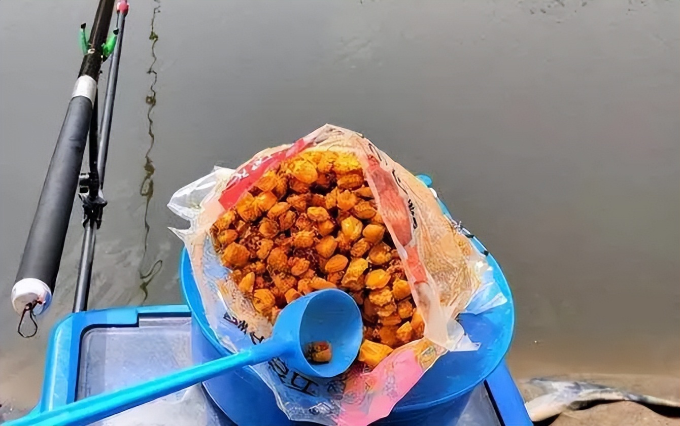 |越打窝越没鱼?补窝中也有门道,一不小心就无鱼可钓