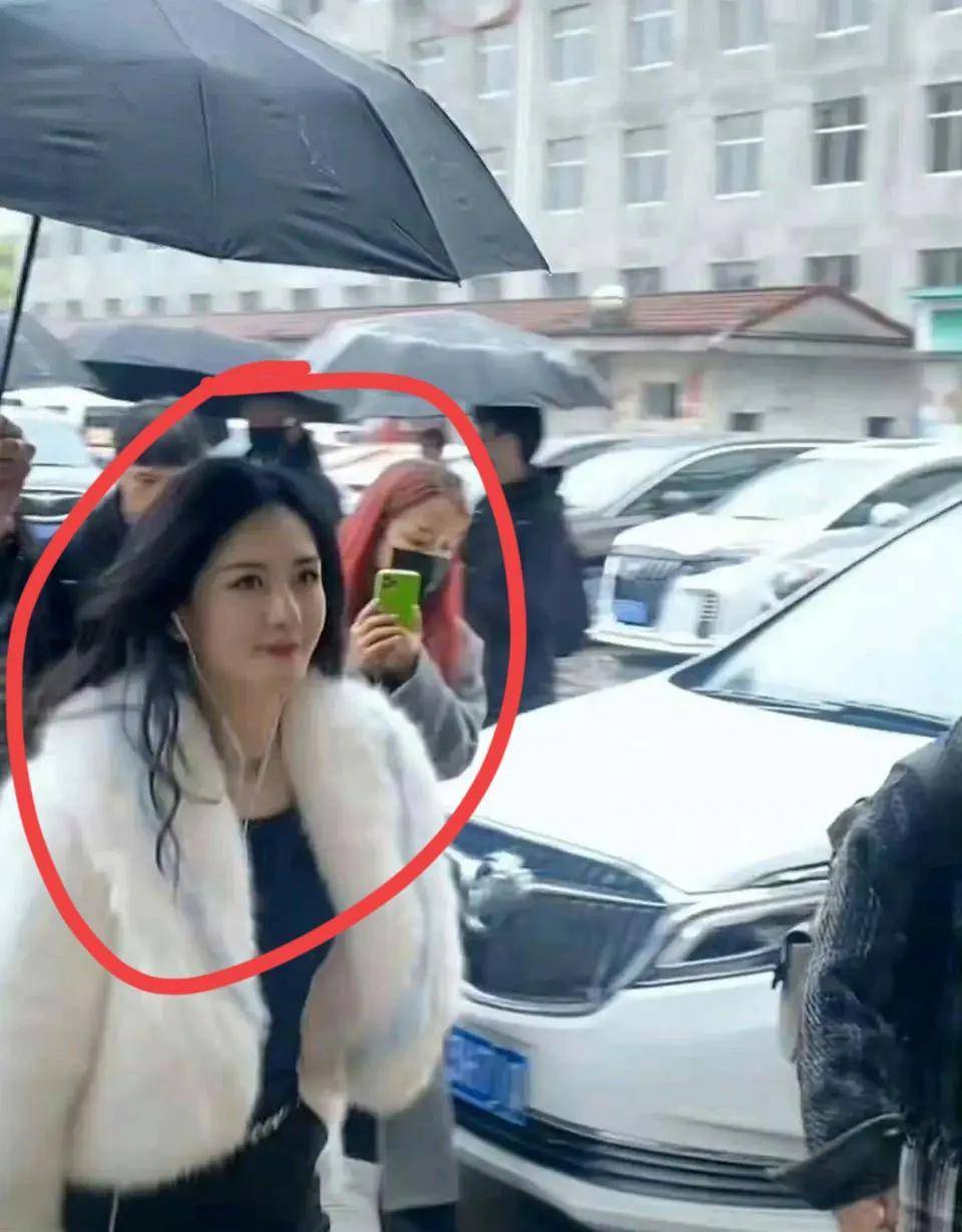 谢娜|谢娜复出?接连加盟《萌探》,《快本》5人现状如何