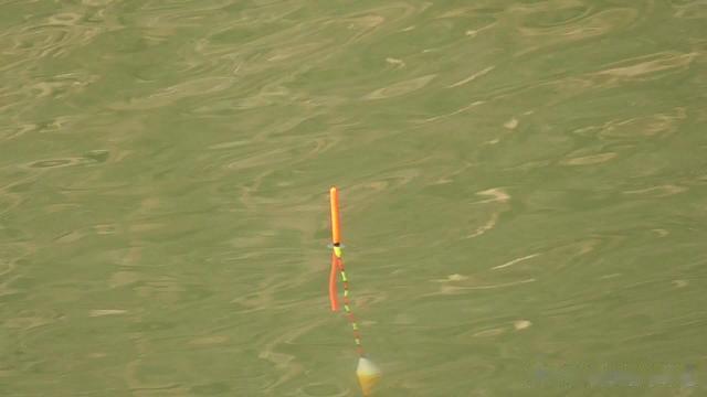 |这套浮漂绝了,微加粗又不失灵性,钓友:可以承包我一年的用漂