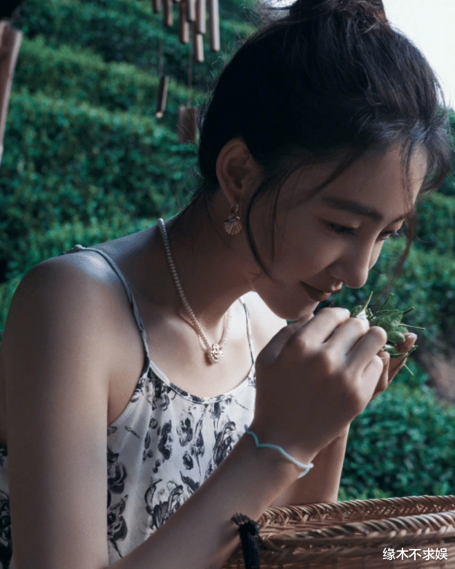 王丽坤|王丽坤事件后续:工作已暂停,过往被扒遭吐槽:心机装佛系!